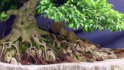 강원출장안마 -후불100%ョØ1ØM2997M5327｛카톡LTE13｝  강원전지역출장안마 강원오피걸 강원출장마사지 강원안마 강원출장마사지 강원콜걸샵ぷ∧㌙