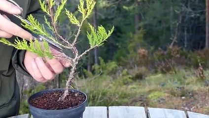 중구애인대행추천∮중구출장안마 -후불100%ョO7OX7575X0062｛카톡DK654｝ 중구전지역출장안마 중구오피걸 중구출장마사지 중구출장안마 중구출장마사지 중구콜걸샵ら≗れ