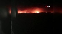 Elazığ'da ormanlık alan alev alev yandı