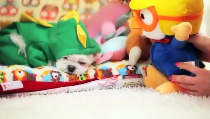 기장휴게텔강추∮기장출장안마 -후불100%ョO7OV7301V9649｛카톡MOK66} 기장전지역출장안마 기장오피걸 기장출장마사지 기장출장안마 기장출장마사지 기장콜걸샵⻋⾭⊀