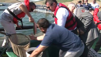 Vali Memiş, elleriyle balıkları besledi