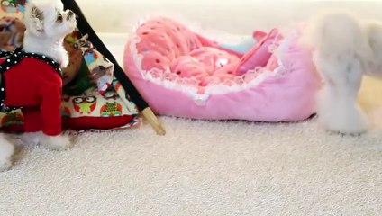 동성로출장안마 -후불100%ョOiON7362N3210｛카톡RQ43｝ 동성로전지역출장안마 동성로오피걸 동성로출장마사지 동성로안마 동성로출장마사지 동성로콜걸샵な㌐◬