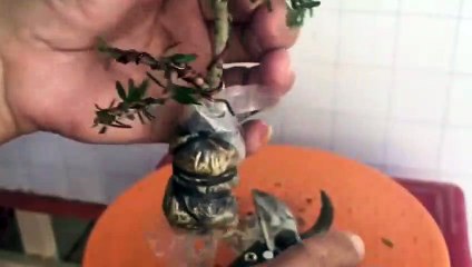 두정동출장안마 -후불100%ョO7OX7575X0062｛카톡DK654｝ 두정동전지역출장안마 두정동오피걸 두정동출장마사지 두정동안마 두정동출장마사지 두정동콜걸샵⺠≑≌