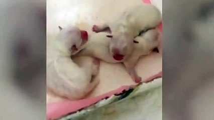 태종대출장서비스강추∮태종대출장안마 -후불100%ョØ1ØZ2659Z1768｛카톡KP93｝ 태종대전지역출장안마 태종대오피걸 태종대출장마사지 태종대출장안마 태종대출장마사지 태종대콜걸샵∥⻡≆