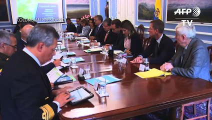 Colômbia ainda é maior cultivador mundial de folha de coca