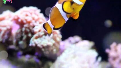 하남타이출장가격∮하남출장안마 -후불100%ョOiON2659N1768｛카톡SN92｝ 하남전지역출장안마 하남오피걸 하남출장마사지 하남출장안마 하남출장마사지 하남콜걸샵ぱゝ⻈