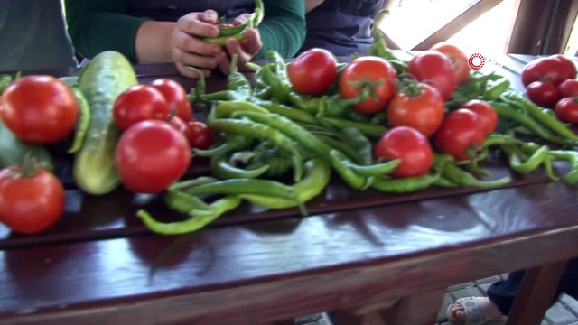 ESER’de hasat zamanı