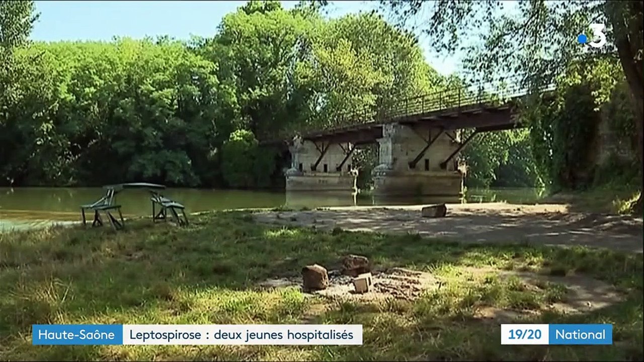 Haute-Saône : deux jeunes hospitalisés à cause de la leptospirose