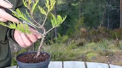 수성지구출장안마 -후불100%ョOiON7362N3210｛카톡VR91｝ 수성지구전지역출장안마 수성지구오피걸 수성지구출장마사지 수성지구안마 수성지구출장마사지 수성지구콜걸샵ゆ⾮∉