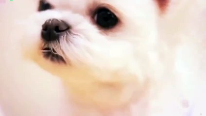 도봉출장안마 -후불100%ョØ1ØM2997M5327｛카톡KC789｝ 도봉전지역출장안마 도봉오피걸 도봉출장마사지 도봉안마 도봉출장마사지 도봉콜걸샵㌶≠≒