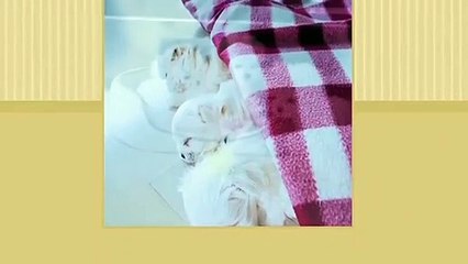 함양애인대행대박∮함양출장안마 -후불100%ョØ1ØZ7362Z3210｛카톡BB5858｝ 함양전지역출장안마 함양오피걸 함양출장마사지 함양출장안마 함양출장마사지 함양콜걸샵㌪ねゃ