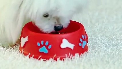 양평출장안마 -후불100%ョØ1ØM7685M6221｛카톡LTE16｝  양평전지역출장안마 양평오피걸 양평출장마사지 양평안마 양평출장마사지 양평콜걸샵⻪㍎◑