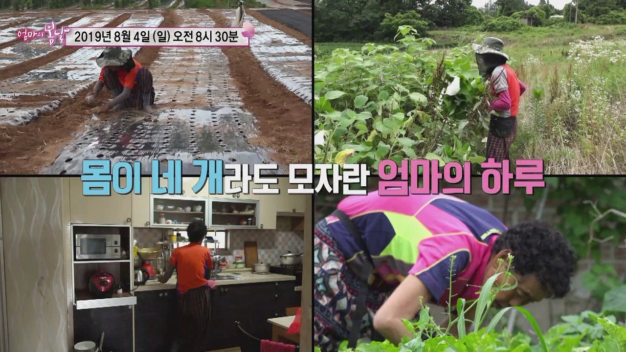 영숙 엄마의 가시 박힌 손_엄마의 봄날 203회 예고