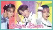 [HOT] THE BOYZ  - Bloom Bloom, 더보이즈 - Bloom Bloom  Show Music core 20190803