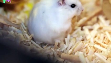 서울출장안마 -후불100%ョØ1ØZ7467Z4367｛카톡MAS91｝  서울전지역출장안마 서울오피걸 서울출장마사지 서울안마 서울출장마사지 서울콜걸샵㌚⾴∯