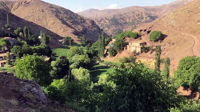 Sason yaylalarında sütün tulum peynirine yolculuğu - BATMAN