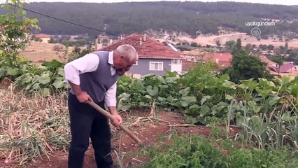Uşaklı çiftçi yüzünü kaplayan dev tümörden kurtulmak istiyor