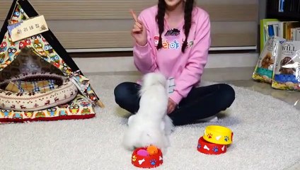 청양출장안마 -후불100%ョØ1ØZ2659Z1768｛카톡SN92｝ 청양전지역출장안마 청양오피걸 청양출장마사지 청양안마 청양출장마사지 청양콜걸샵せ◨∷