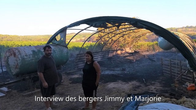Vauvert : bergers et vigneron au coeur de l'incendie du 2 août