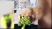 Funny And Cute Golden Retriever Puppies Compilation 2019 - Cutest Golden Retriever Puppy Ever