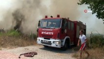 Antalya'da ot yangını korkuttu