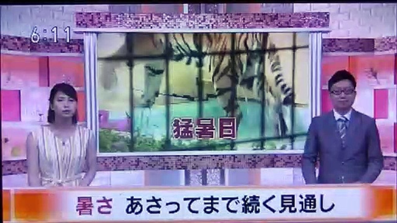 2019 07 31　NHK ほっとニュースアイヌモシリ　【 神聖なる アイヌモシリからの 自由と真実の声 】