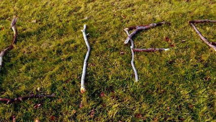 MORGAN FREEMAN İLE EVRENİN SIRLARI 49