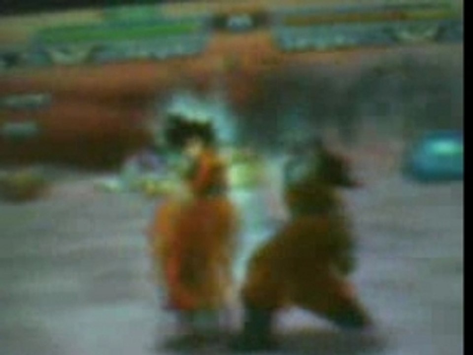 Sangoku vs goku