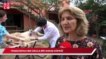 Trabzon’da örnek proje: Her okula bir sokak köpeği