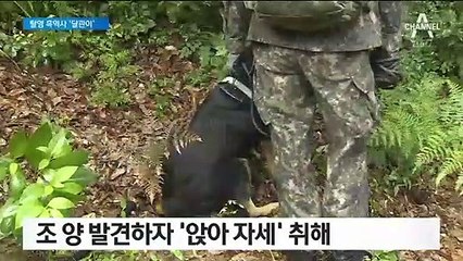 조은누리 양 수색 일등공신 7살 ‘달관이’…5년 전 탈영 흑역사