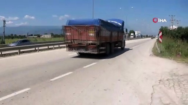 Yolun karşısına geçemeyen köpeğin yardımına böyle koştular