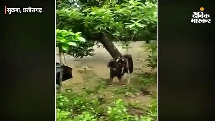 नक्सलियों से निपटने के लिए ऑपरेशन मानसून