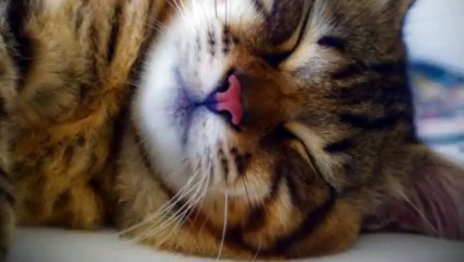 울산출장안마 -후불100%ョØ1ØZ7362Z3210｛카톡VR91｝ 울산전지역출장안마 울산오피걸 울산출장마사지 울산출장안마 울산출장마사지 울산출장콜걸샵안마れ∾◩