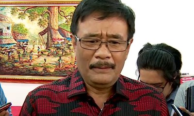 Djarot: Jika Ada Plh Ketum, Prananda dan Puan Berpeluang