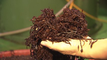 음식 속 중금속 섭취 이렇게 줄이세요! / YTN