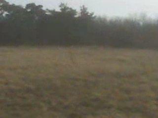 moi en quad   350 warrior