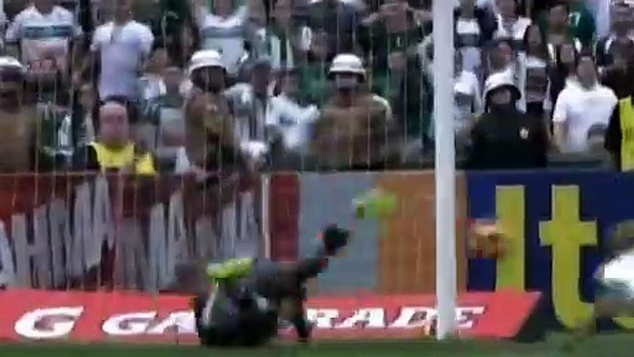 Reviví los mejores goles del fútbol brasileño durante la temporada 2013.