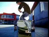 EA Skate neila Vol.2