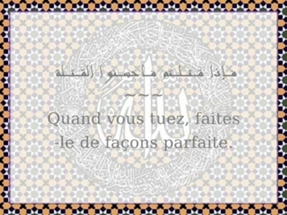 17- La généralité du bel-agir