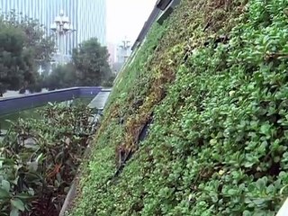 BON TV - Chongqing smart home opens to public