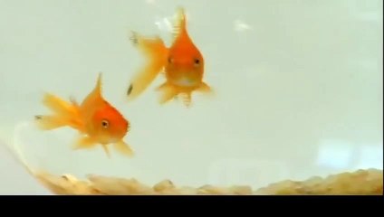 영암출장안마 -후불100%ョOiOE7685E6221｛카톡PP888｝ 영암전지역출장안마 영암오피걸 영암출장마사지 영암안마 영암출장마사지 영암콜걸샵もだ◘