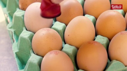 Avec Olivier Parra - Parcours d'agriculteurs (28/07/2019)