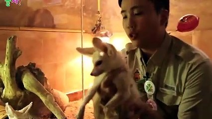 문경출장안마 -후불100%ョØ7ØM7575M0054｛카톡USA16｝ 문경전지역출장안마 문경오피걸 문경출장마사지 문경출장안마 문경출장마사지 문경출장콜걸샵안마 문경출장아로마 ⊋㌺≢