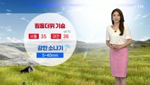 [날씨] 밤낮 가리지 않는 불볕더위...곳곳에 강한 소나기 / YTN