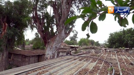 العاصمة: بعد مرورها في قناة النهار الوالي المنتدب لرويبة يقرر منح سكن للفنانة نضال