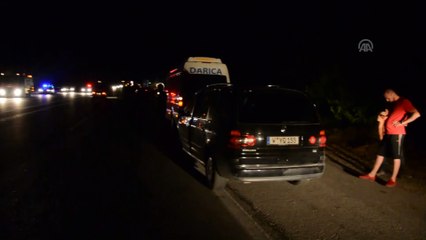 Otomobillerin çarptığı 3 safkan Arap atı telef oldu - MALATYA