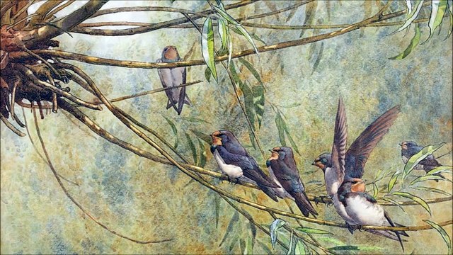 Dorfschwalben aus Österreich, Walzer, Op. 164 - Josef Strauss