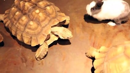 사상출장안마 -후불100%ョØ7ØE7575E0062｛카톡DK654｝ 사상전지역출장안마 사상오피걸 사상출장마사지 사상안마 사상출장마사지 사상콜걸샵だ㌔ぶ