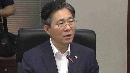 정부, '일본 수출 규제' 업종별 피해상황 점검 / YTN