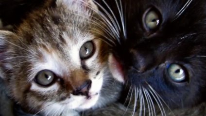 예천출장안마 -후불100%ョOiOE7685E6221｛카톡LTE16｝ 예천전지역출장안마 예천오피걸 예천출장마사지 예천출장안마 예천출장마사지 예천출장콜걸샵안마 예천출장아로마 ◬⺸◫